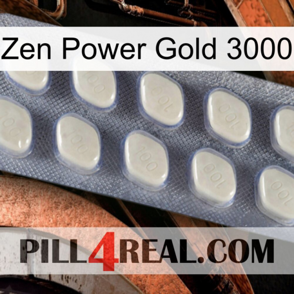 Zen Power Gold 3000 08.jpg